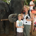 20090417 Half Day Safari - Elephant  28 of 57 